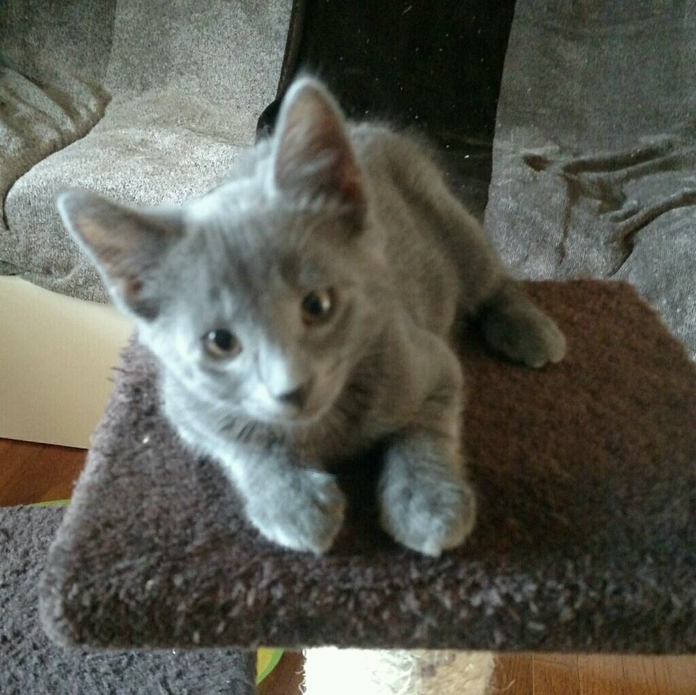 Meet your Posher, Michael